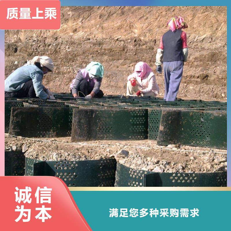 土工格室【三维土工网垫】本地厂家值得信赖