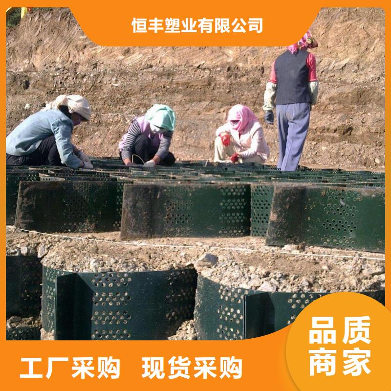 土工格室,膨潤(rùn)土防水毯實(shí)力廠(chǎng)家