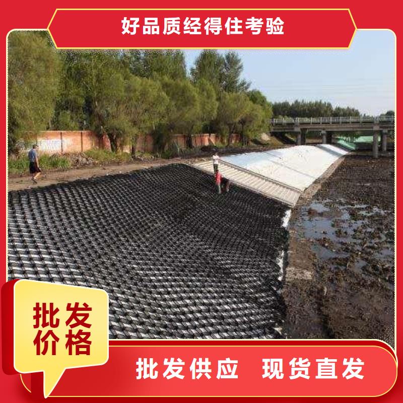 【土工格室三维复合排水网质量为本】