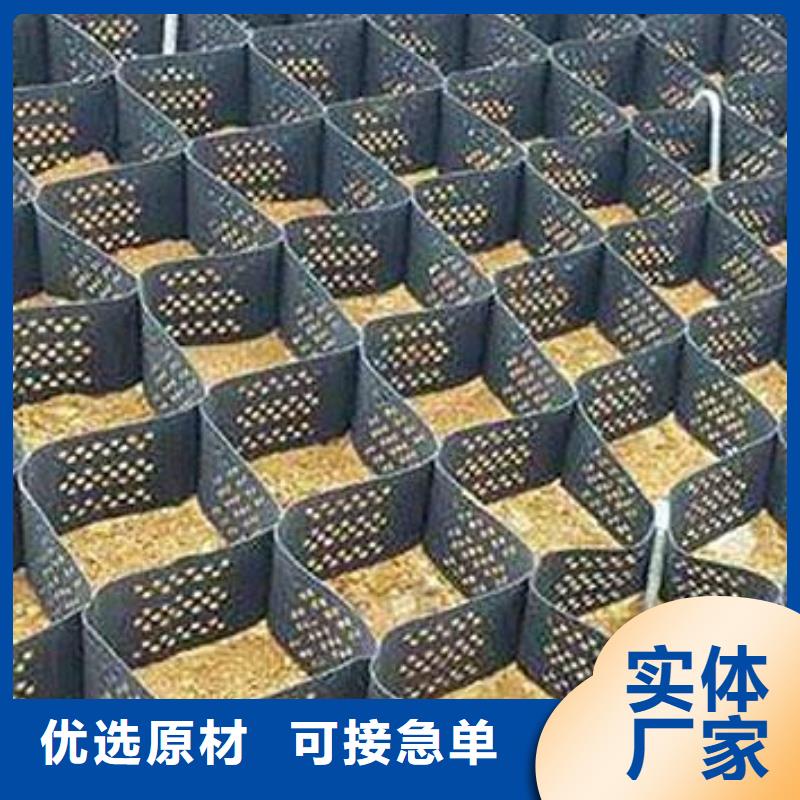 【土工格室三维复合排水网质量为本】