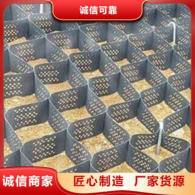 土工格室【三維土工網(wǎng)墊】本地廠家值得信賴