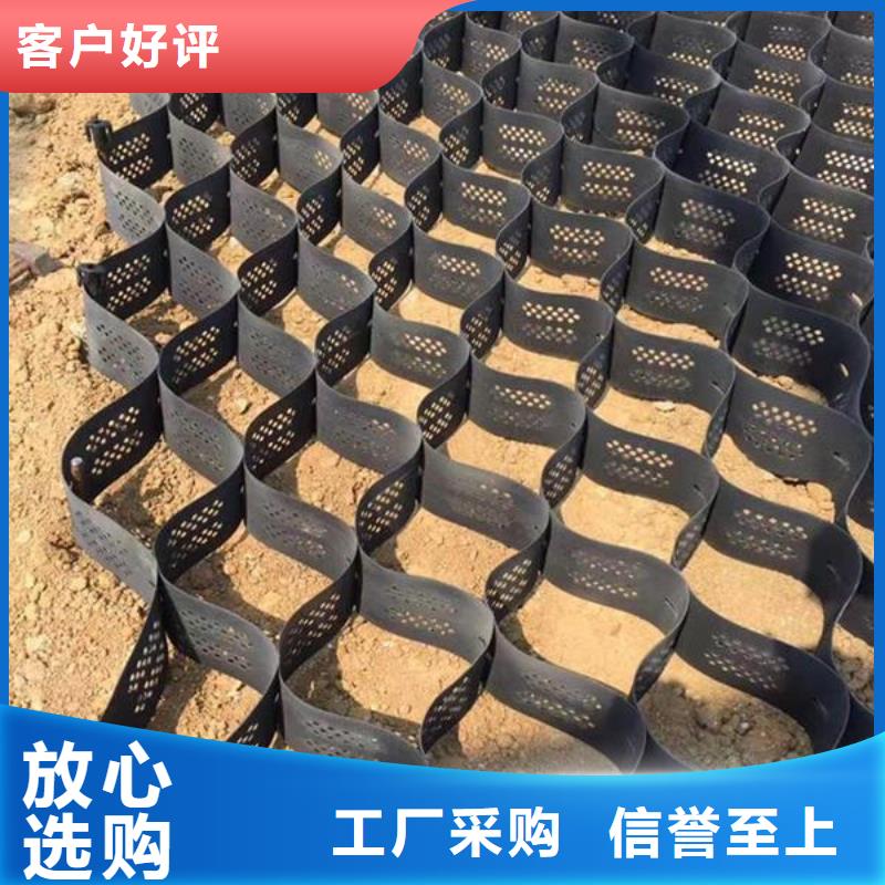 土工格室长丝土工布支持非标定制