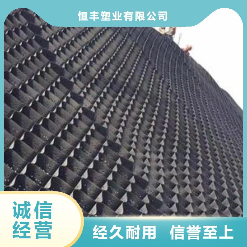 土工格室毛細(xì)排水板一站式供應(yīng)