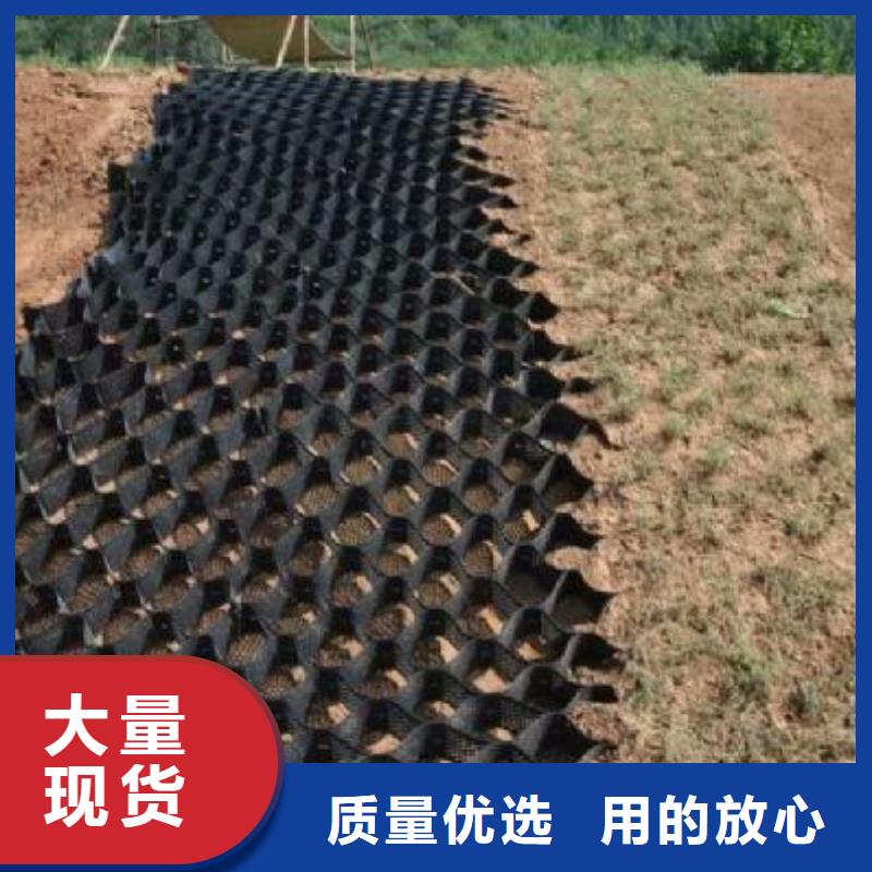 土工格室长丝土工布支持非标定制