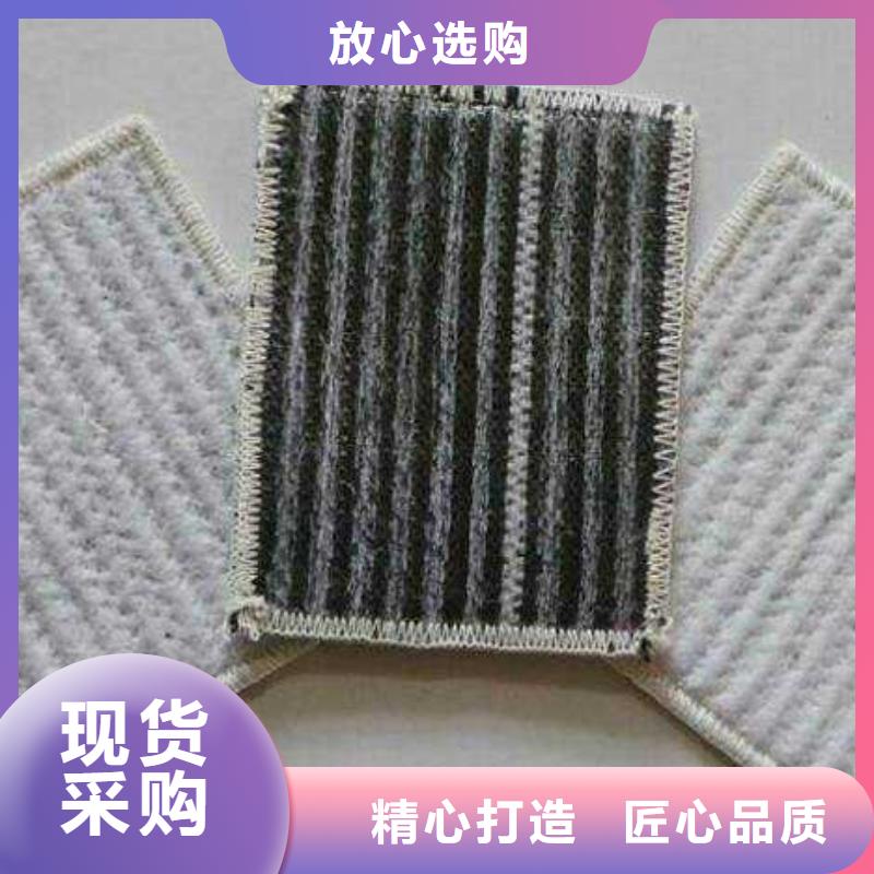 膨润土防水毯聚乙烯土工膜质优价保