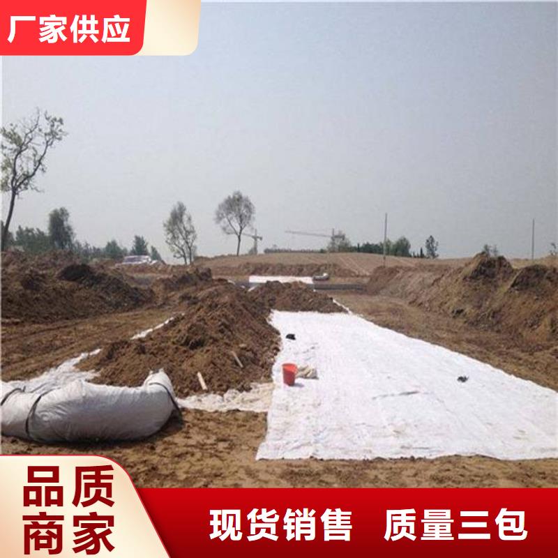 膨润土防水毯HDPE黑色土工膜追求细节品质