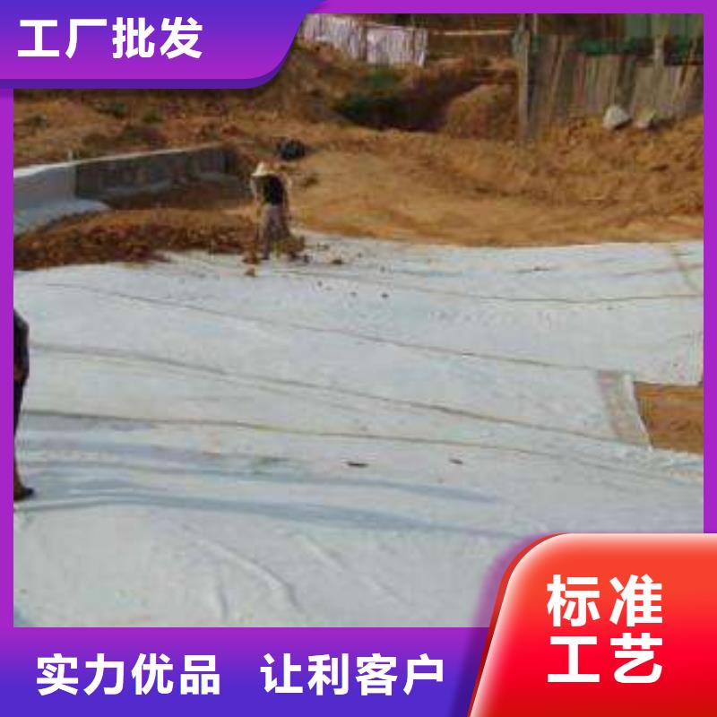 膨潤土防水毯防滲土工膜歡迎來廠考察
