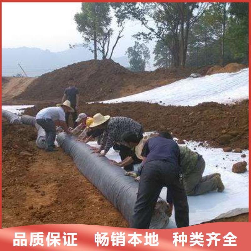膨潤土防水毯防滲土工膜歡迎來廠考察