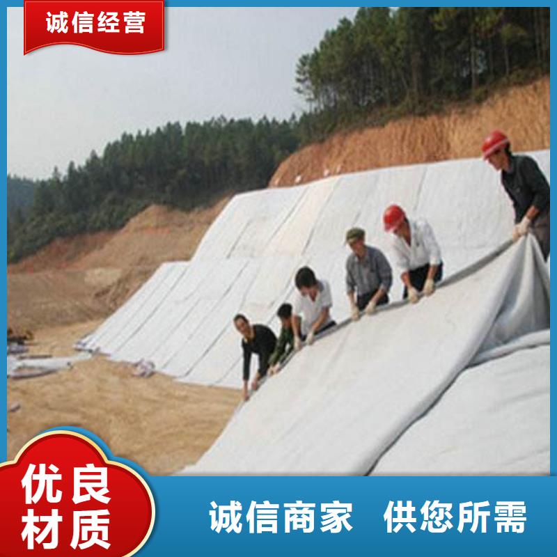 膨潤(rùn)土防水毯聚乙烯土工膜質(zhì)優(yōu)價(jià)保