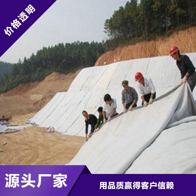 膨潤土防水毯聚乙烯土工膜質優(yōu)價保