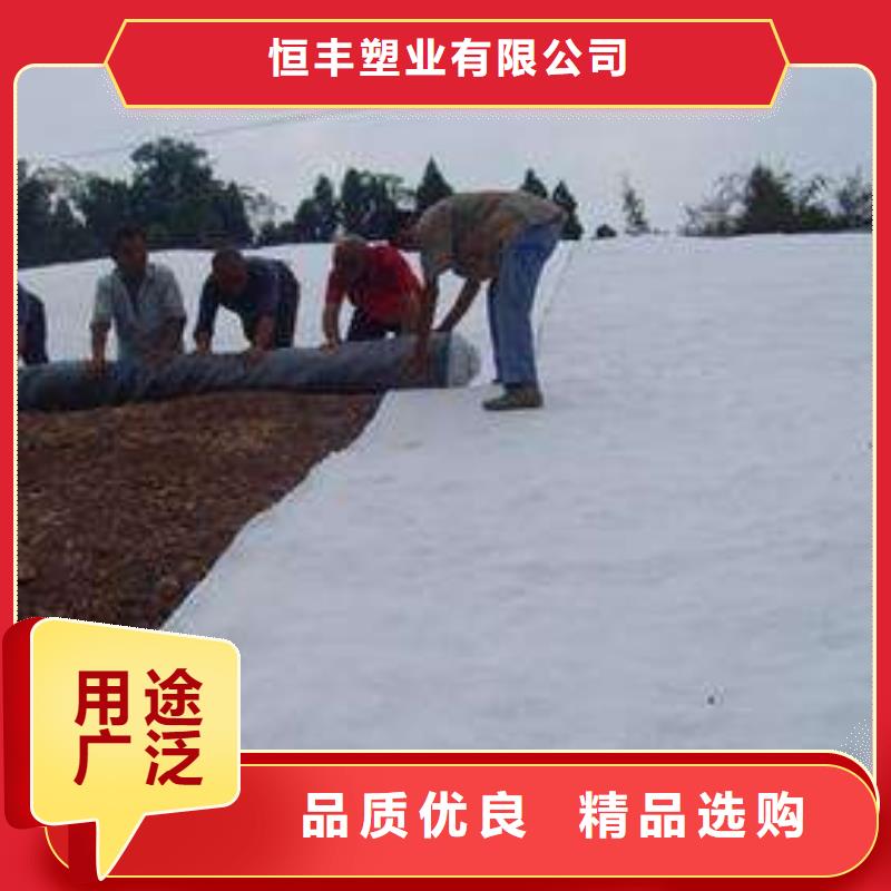 膨润土防水毯聚乙烯土工膜质优价保