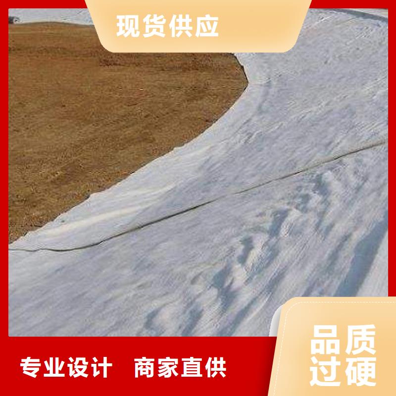 膨潤土防水毯聚乙烯土工膜質優(yōu)價保