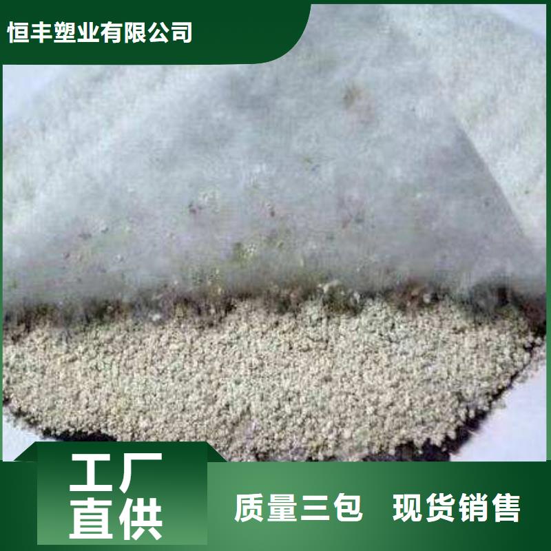 膨润土防水毯凸结点钢塑土工格栅精选优质材料