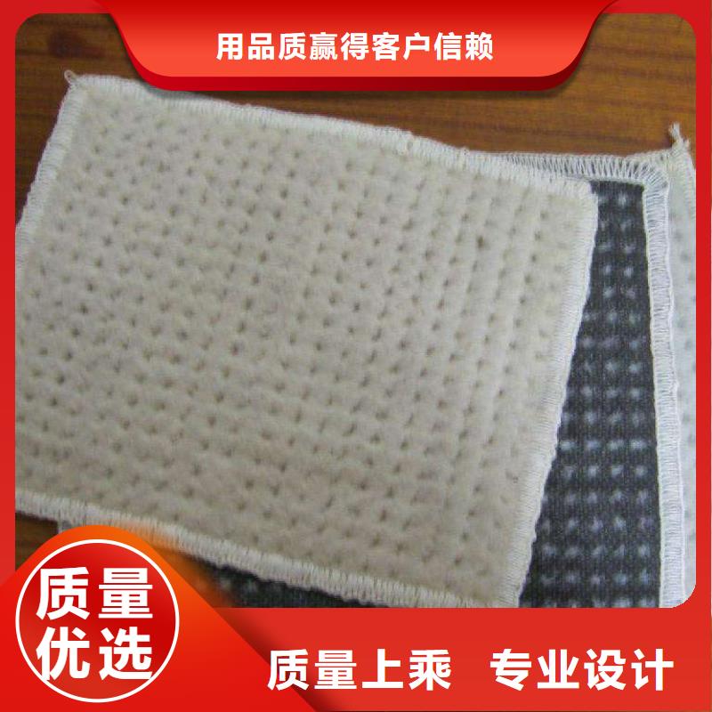 膨润土防水毯凸结点钢塑土工格栅精选优质材料