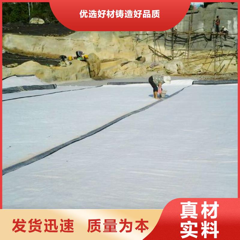 膨润土防水毯凸结点钢塑土工格栅精选优质材料