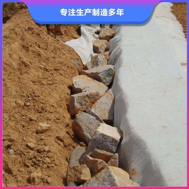 膨润土防水毯凸结点钢塑土工格栅精选优质材料