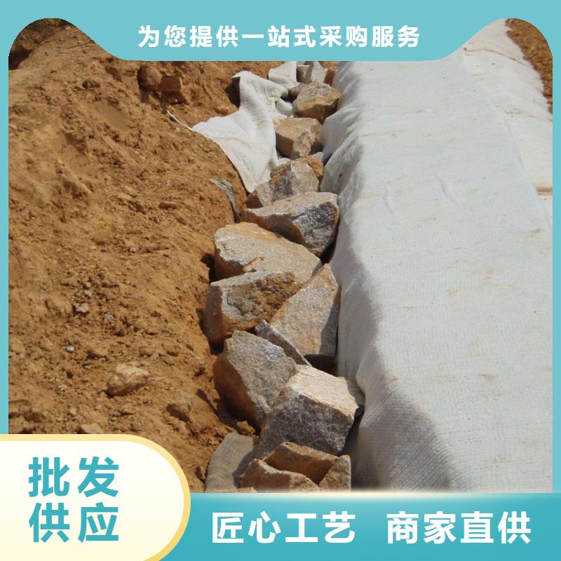膨潤土防水毯聚乙烯土工膜質優(yōu)價保