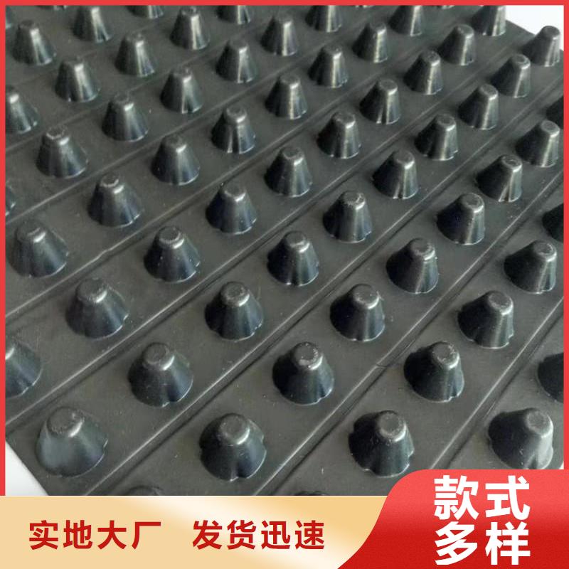 排水板城建土工膜敢与同行比质量