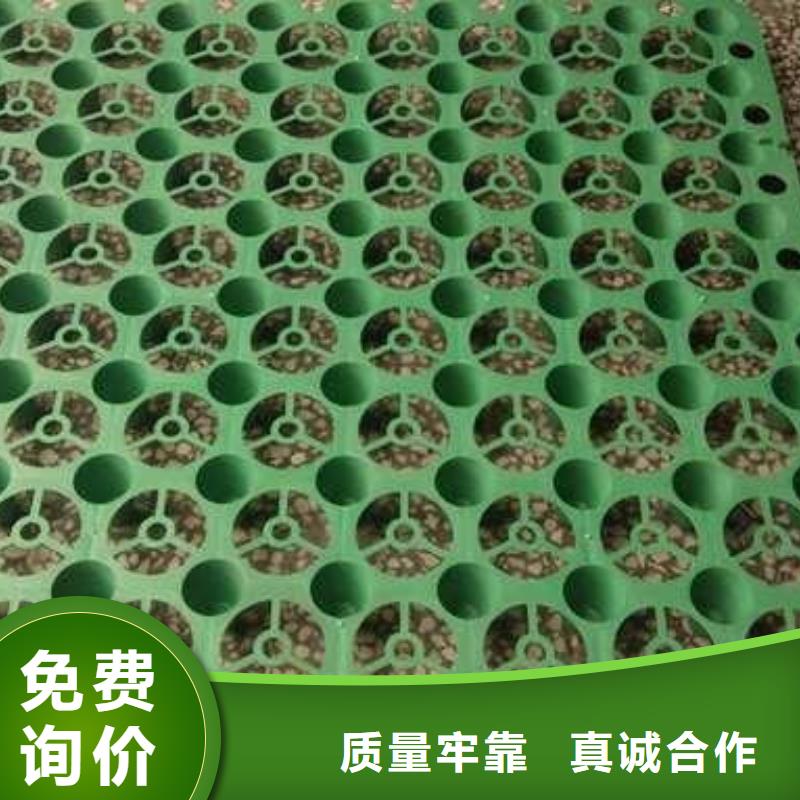 排水板PP焊接土工格栅质检合格发货