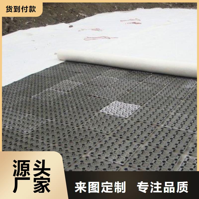 排水板,PVC防水卷材實(shí)力派廠家