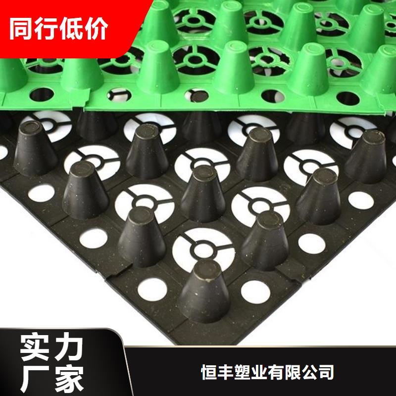 排水板,PVC防水卷材實力派廠家
