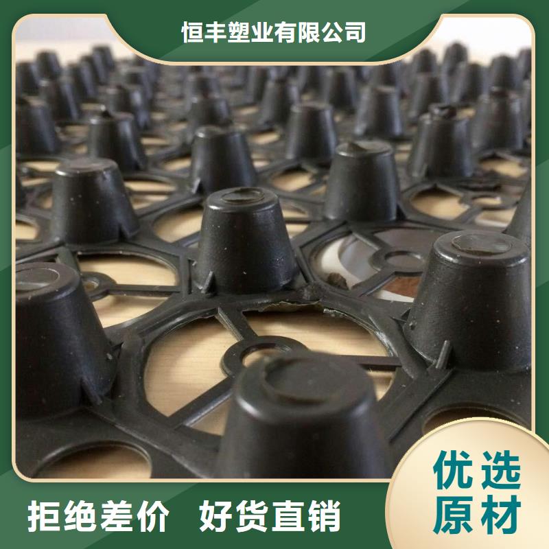 排水板城建土工膜敢與同行比質(zhì)量
