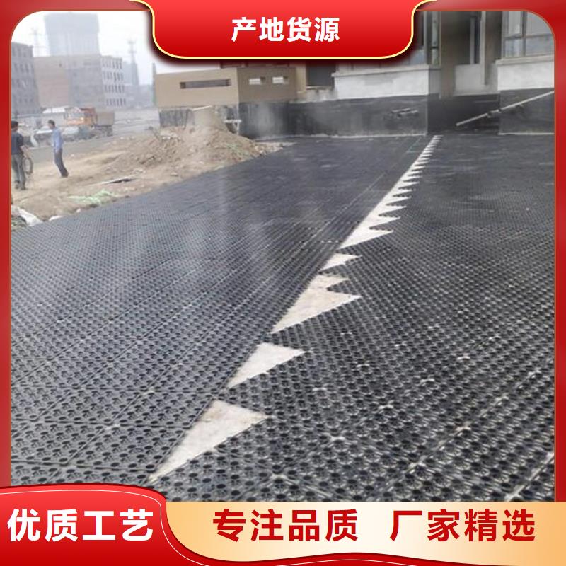 排水板城建土工膜敢與同行比質(zhì)量