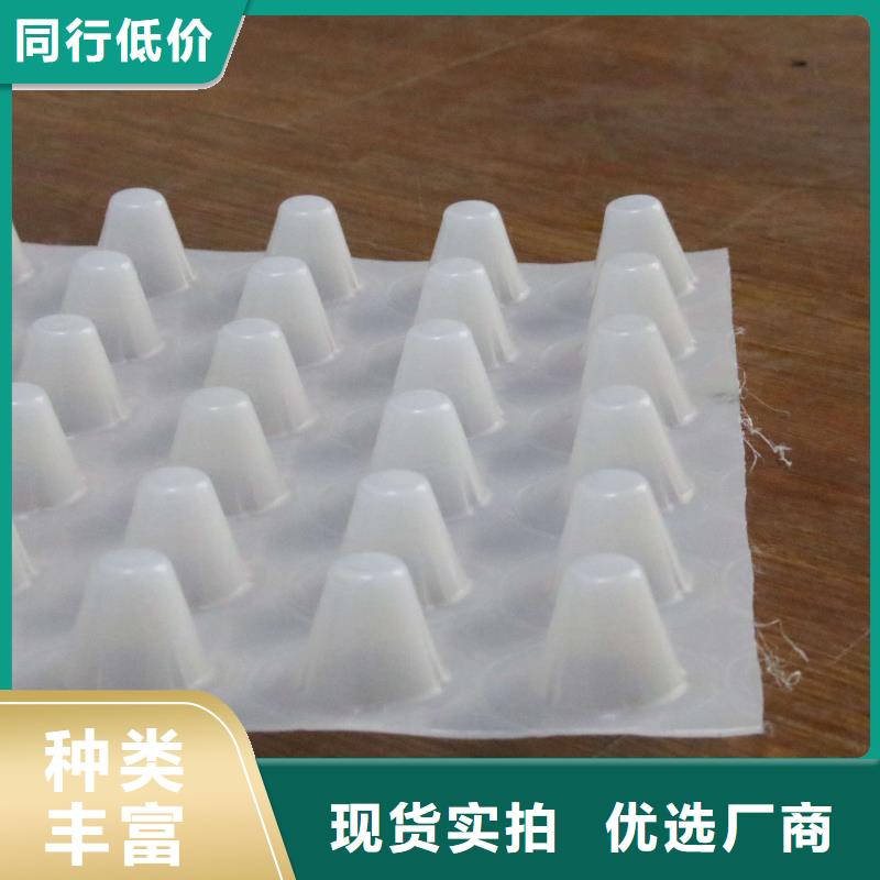 排水板,PVC防水卷材实力派厂家