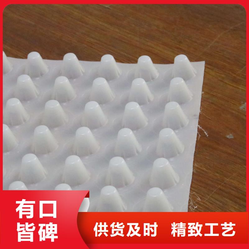 排水板城建土工膜敢与同行比质量