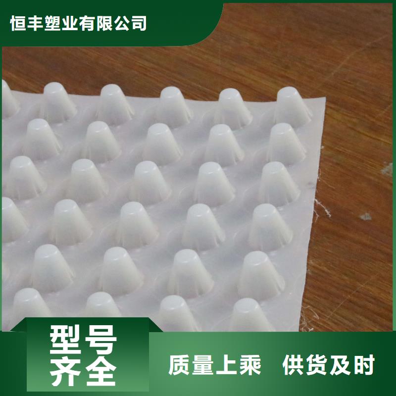 排水板防滲復(fù)合土工膜品牌大廠家