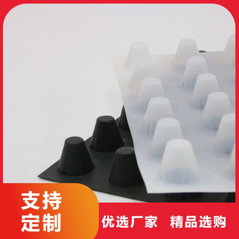 排水板,PVC防水卷材實力派廠家