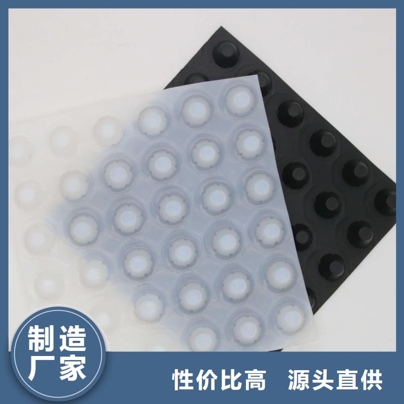 排水板城建土工膜敢与同行比质量