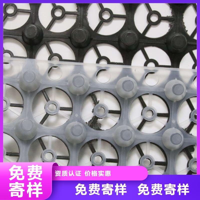 排水板,PVC防水卷材實力派廠家