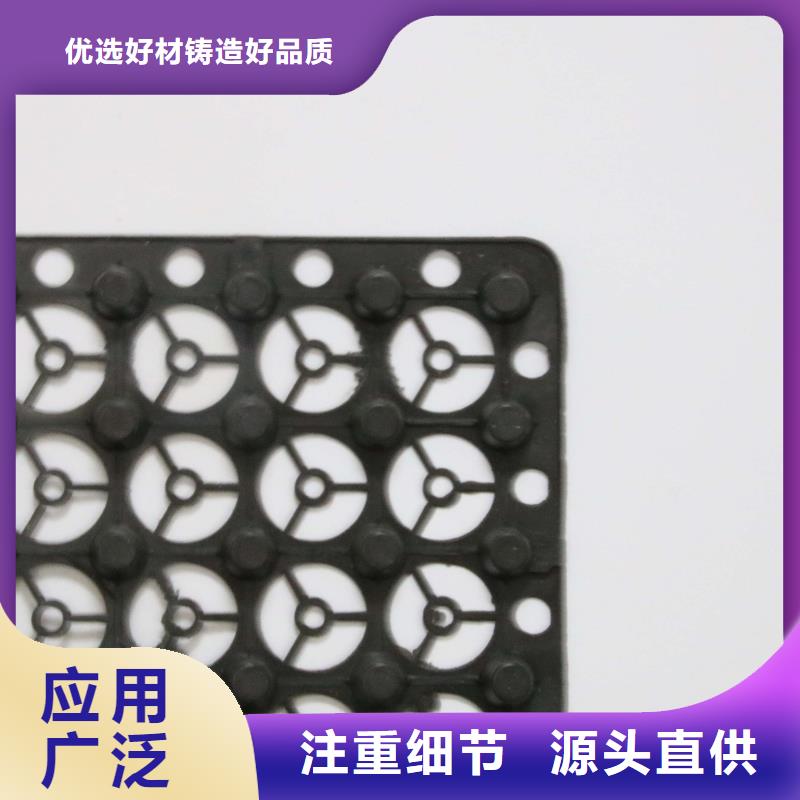 排水板,PVC防水卷材實(shí)力派廠家