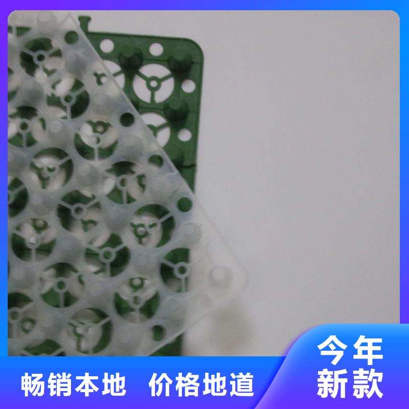 排水板城建土工膜敢與同行比質(zhì)量