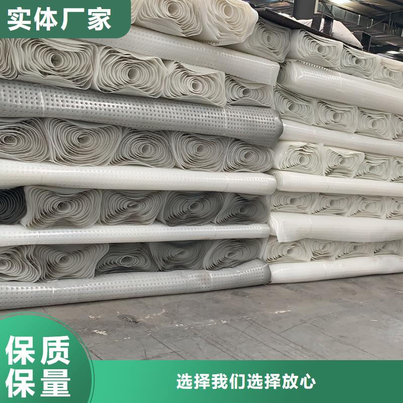 排水板城建土工膜敢與同行比質(zhì)量