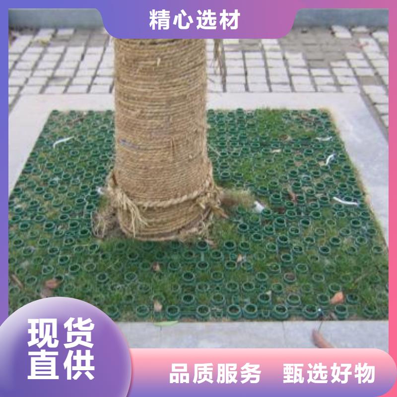 植草格HDPE土工膜放心选购