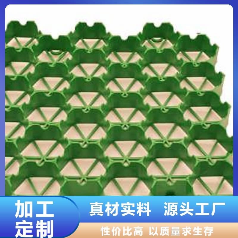 植草格土工布老客户钟爱