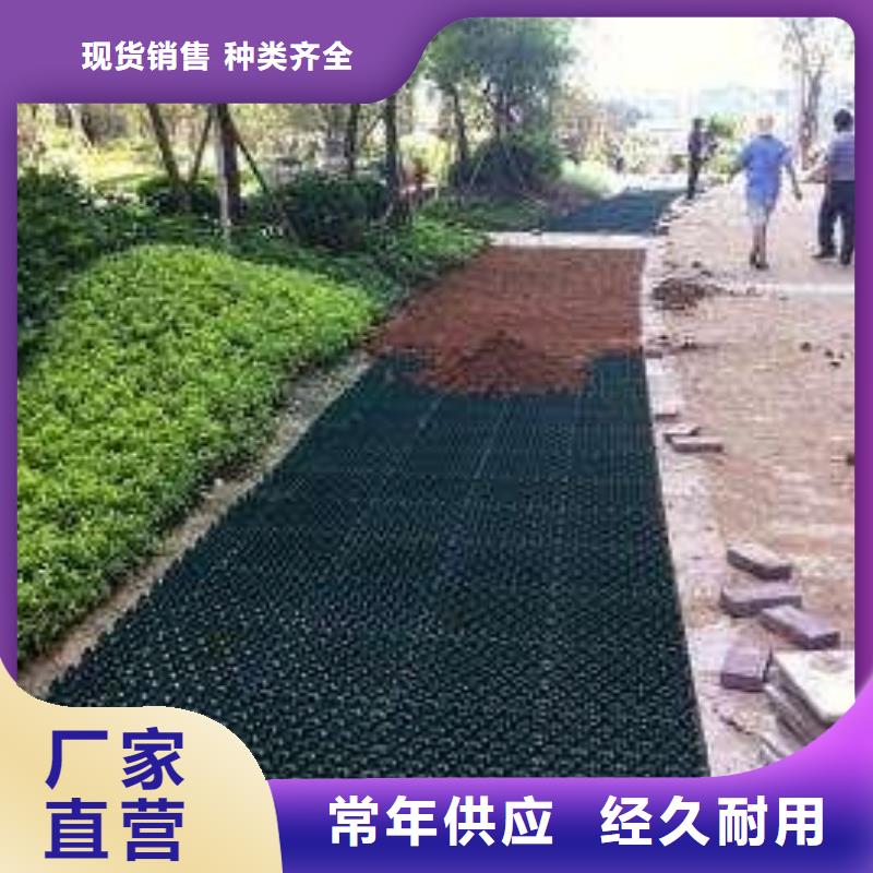 植草格HDPE土工膜放心选购