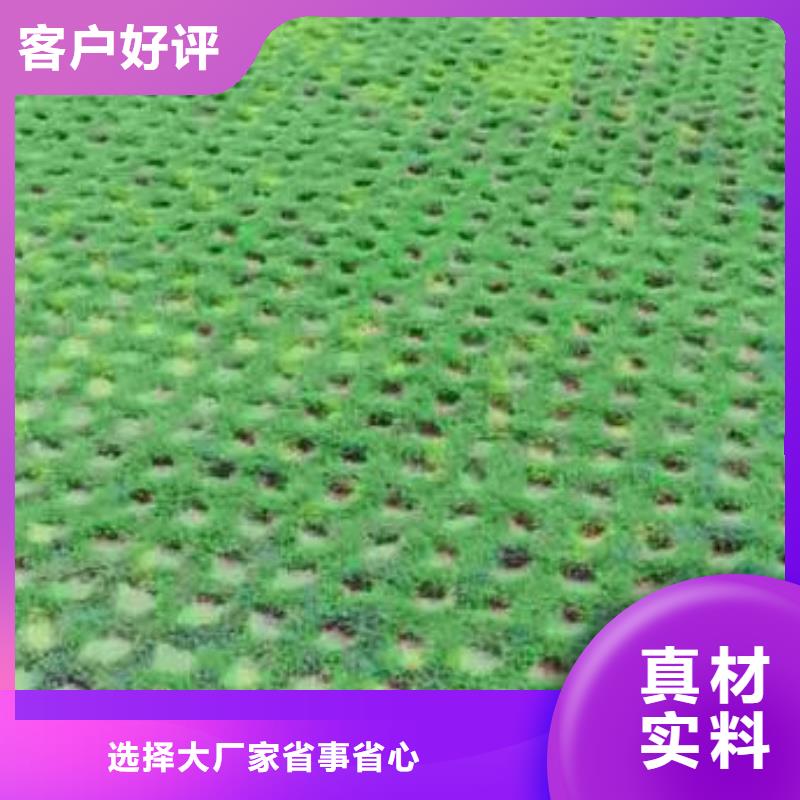 植草格土工布老客戶鐘愛