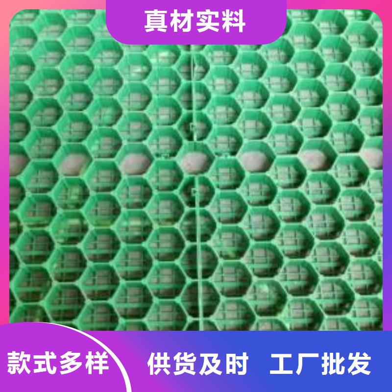 植草格软式透水管工程施工案例