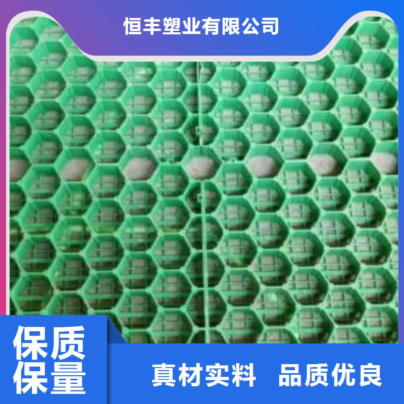 植草格膨润土防水毯让利客户