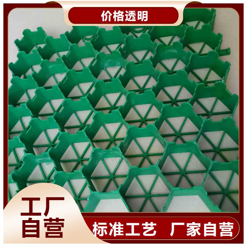 植草格復(fù)合土工膜精心打造