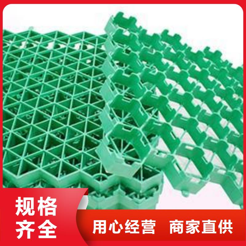 植草格雙向拉伸塑料格柵質(zhì)量為本