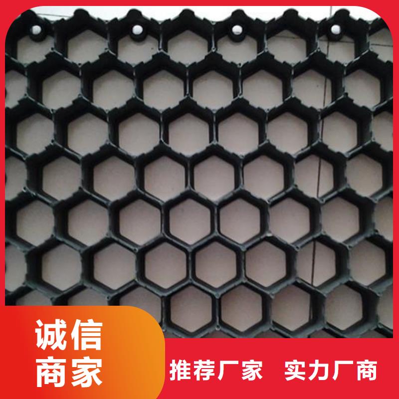 植草格HDPE土工膜放心選購(gòu)