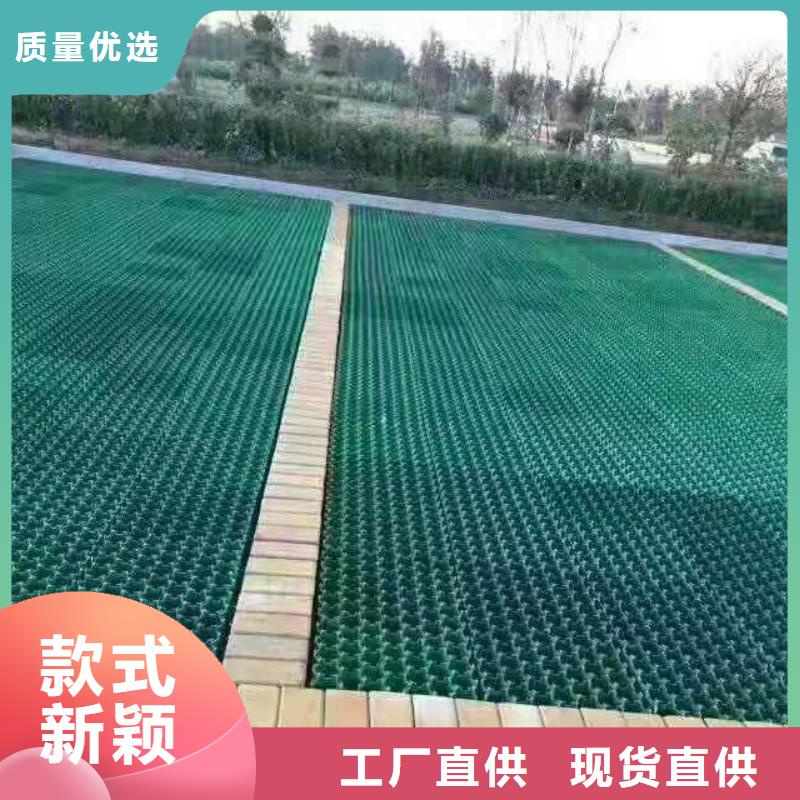 植草格软式透水管工程施工案例