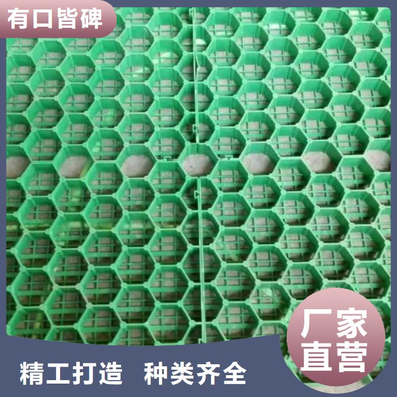 植草格HDPE土工膜放心選購(gòu)