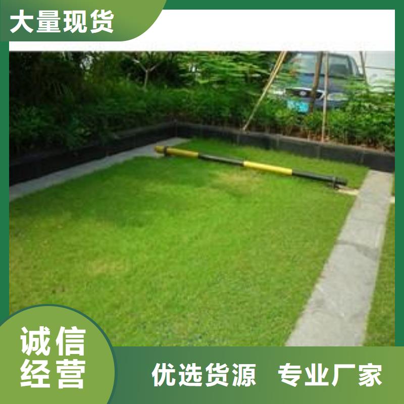植草格膨润土防水毯让利客户
