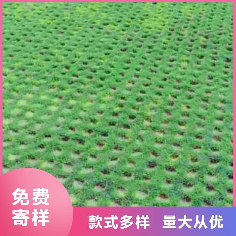 植草格HDPE土工膜放心選購