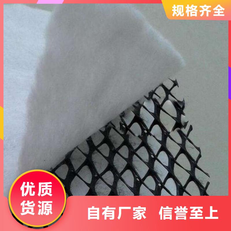 三维复合排水网-防渗膜批发货源